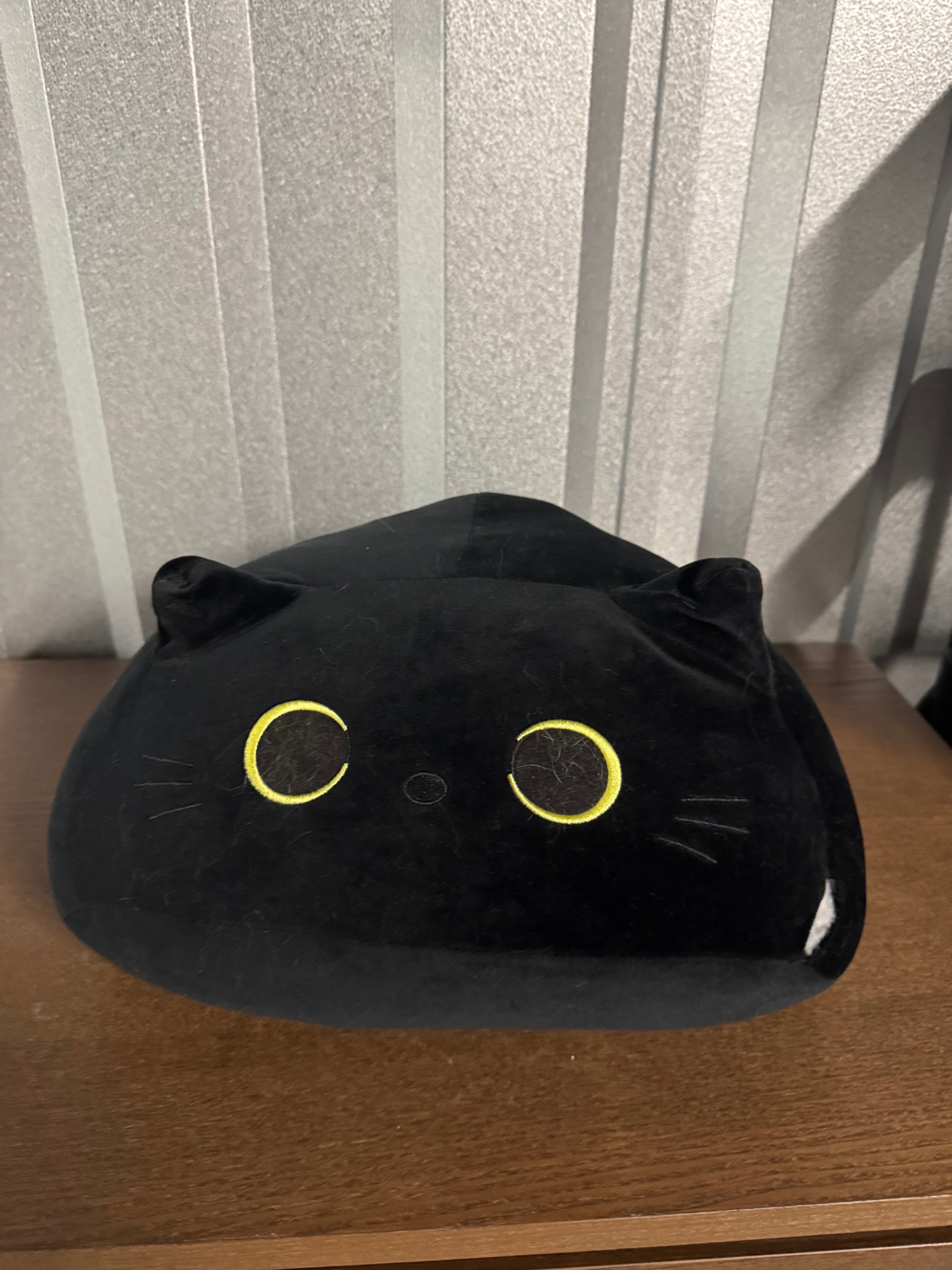 Black Cat Plush Pillow