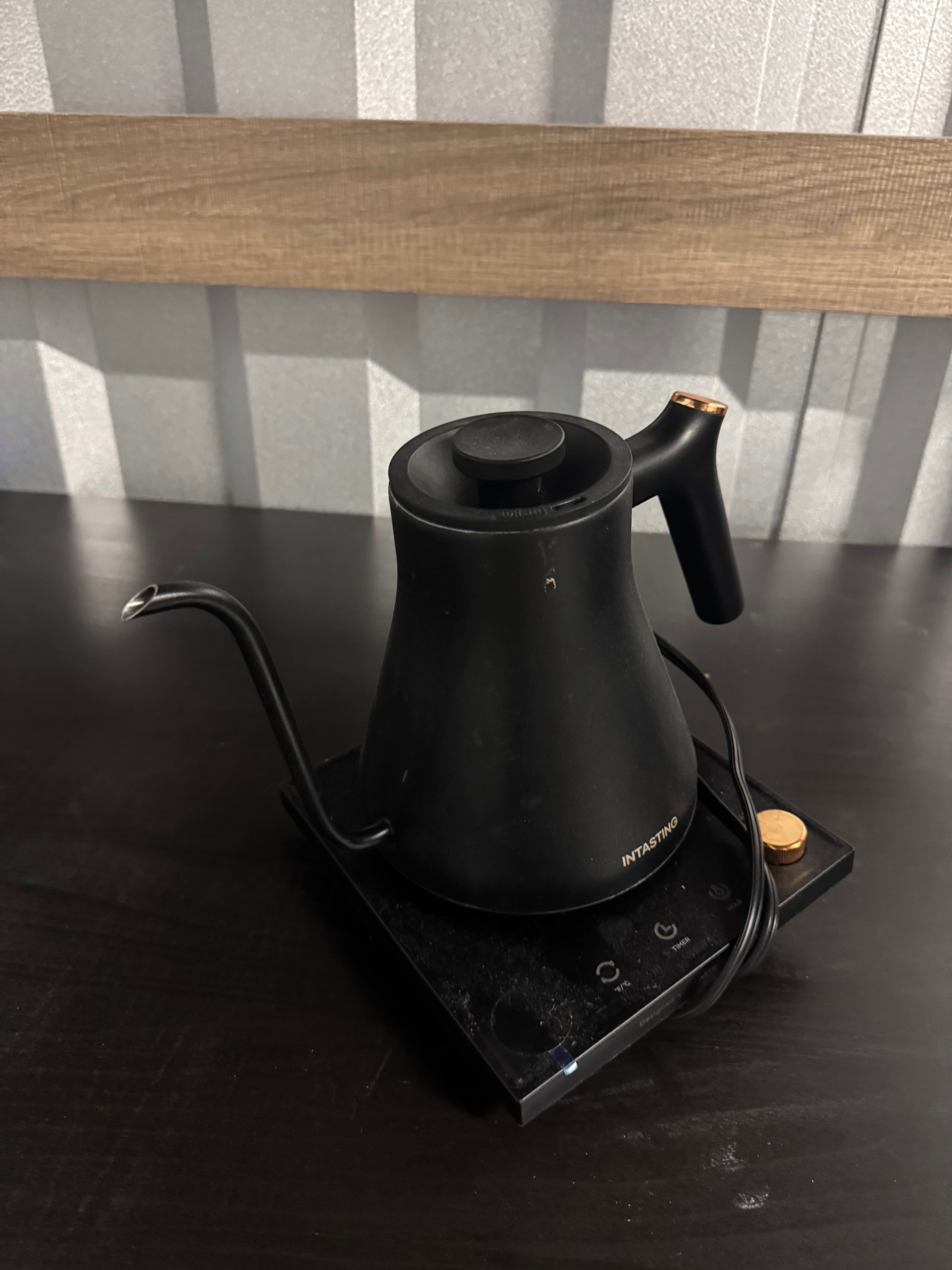 Intasting Electric Gooseneck Kettle