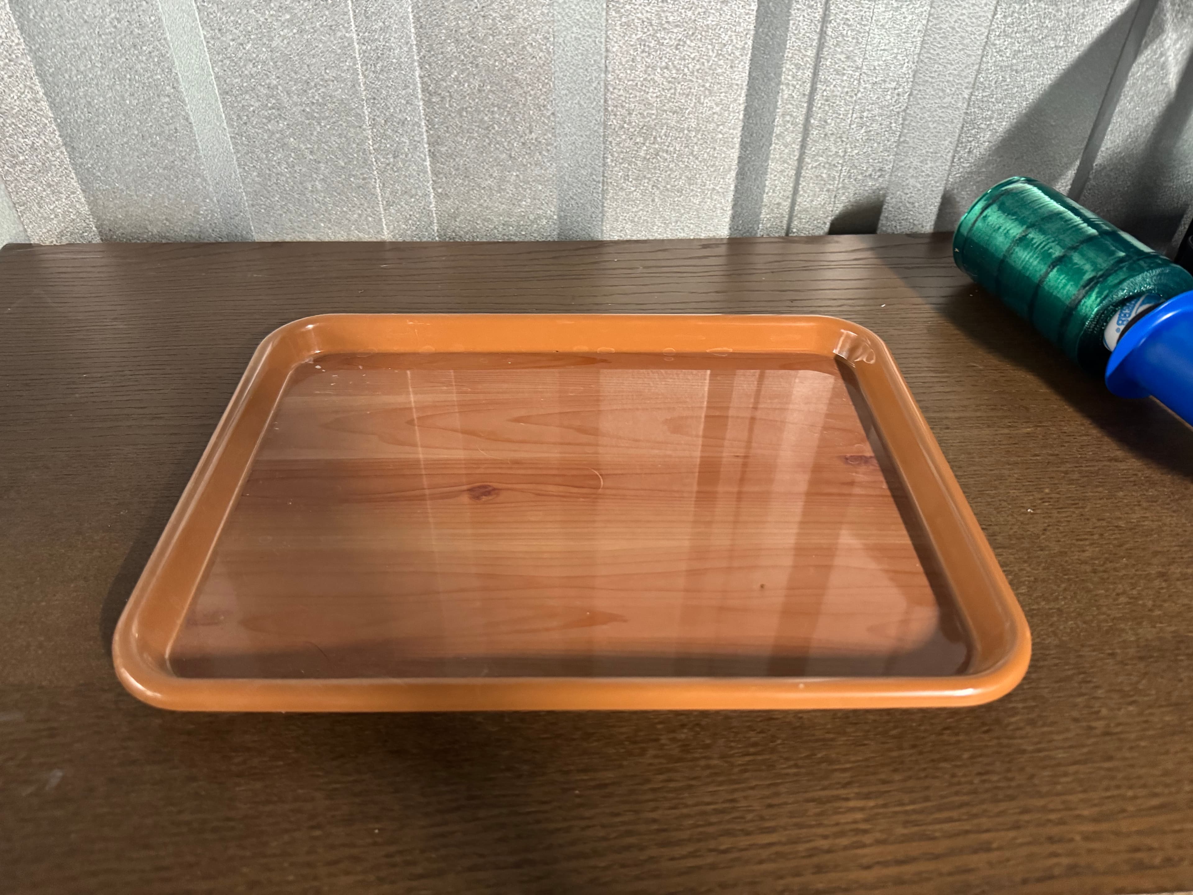 Plastic Serving Tray