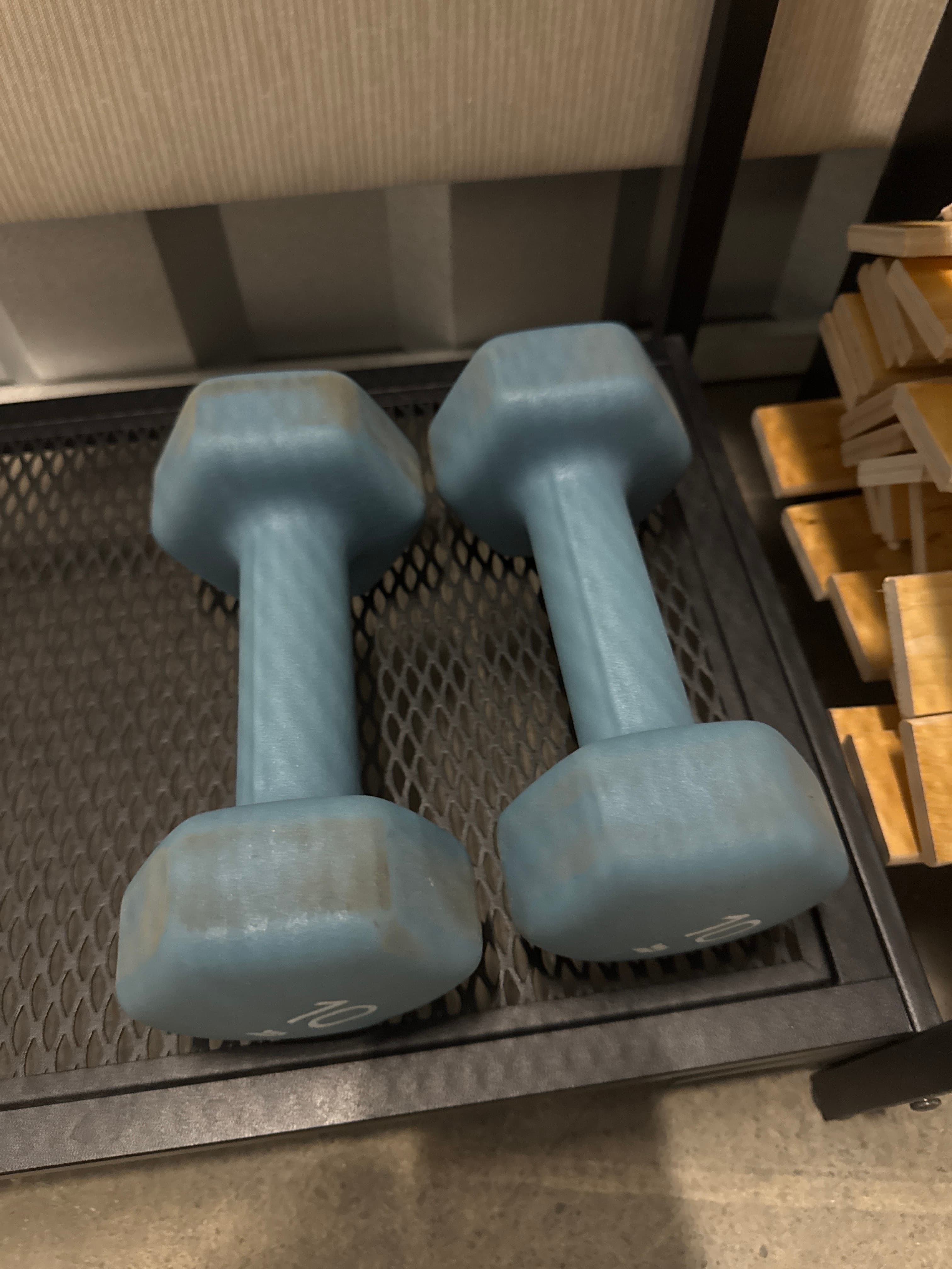 Dumbbells (Set of 2, 10 lb each)
